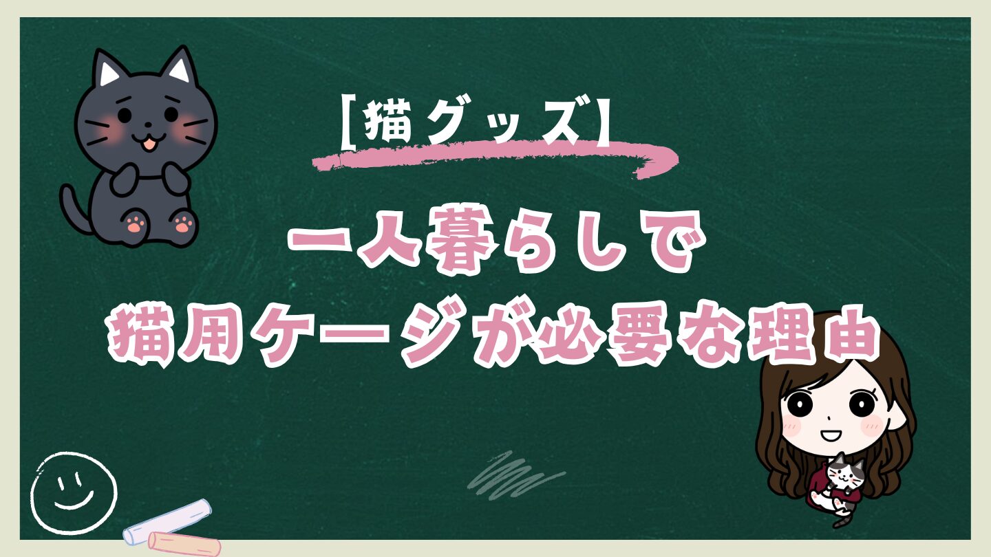 一人暮らしで猫用ケージが必要な理由は？コンパクトで人気のケージ3選を紹介