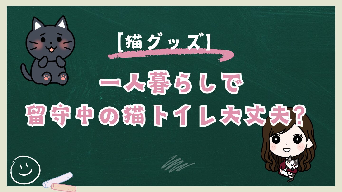 一人暮らしで留守中の猫のトイレは大丈夫？掃除できないリスクは自動トイレで解決！