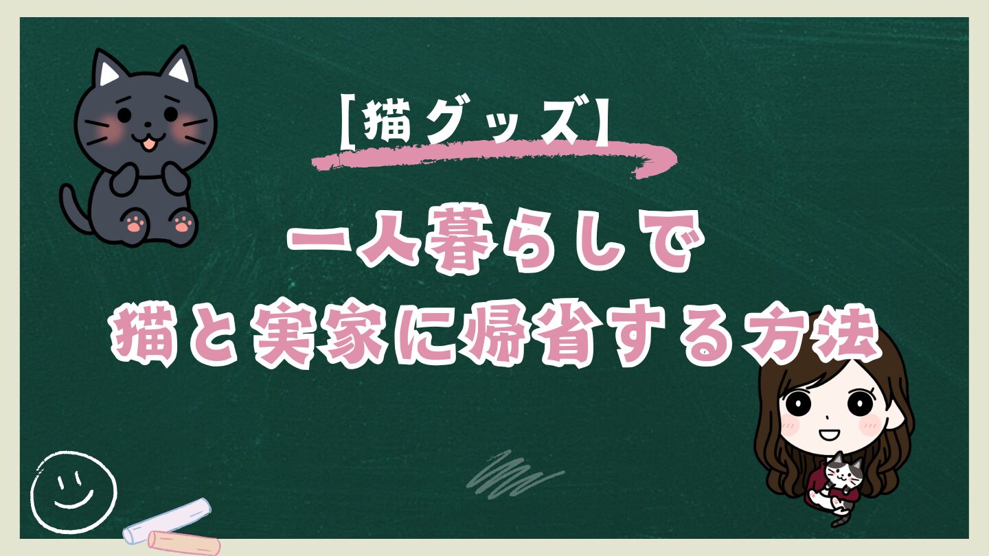 【一人暮らし必見】猫と実家に帰省する方法は？安全で快適に行き来するための完全ガイド